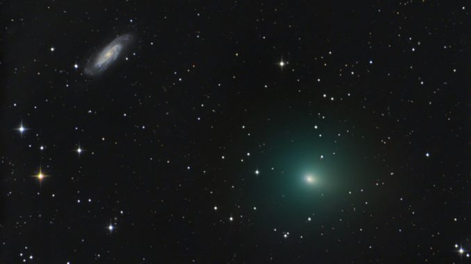 Comet 41P - Chris Schur