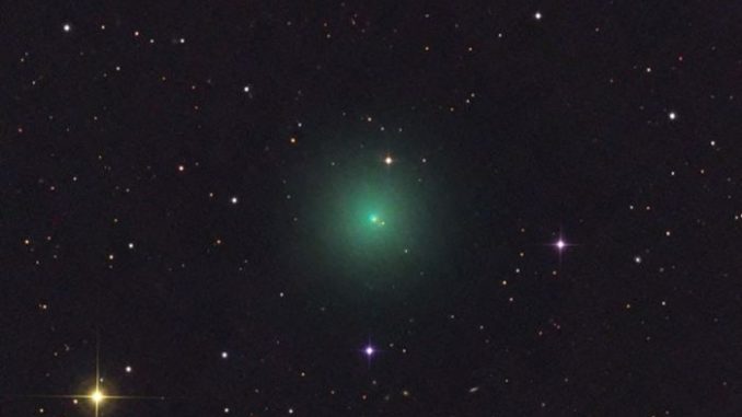 Comet ASASSN1 Discovered