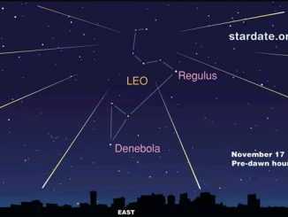 Leonid Meteor Shower