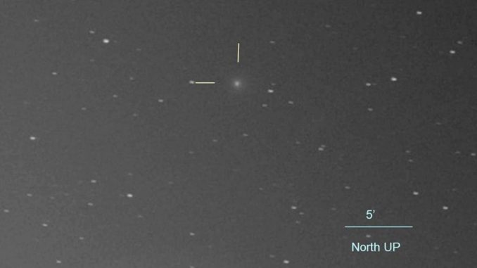 Comet C.2018 V1 Machholz Discovered