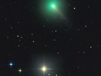 Comet C/2020 F8 Rolando Ligustri