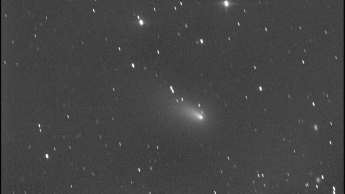 Comet C/2021 A1 Leonard Gianluca Masi